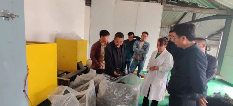 有关于王迎斌率队实地调研茶产业发展的信息(1)