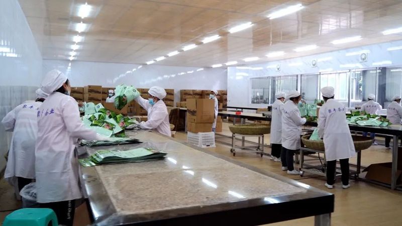 有关于今年1至4月,湄潭茶叶直营出口额突破1000万美元的新闻(1)
