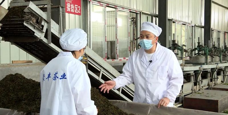 有关于今年1至4月,湄潭茶叶直营出口额突破1000万美元的新闻(2)