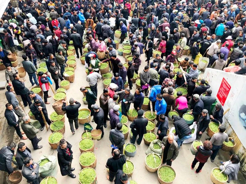 有关于从统一市场看茶业未来,中央信号的释放意味着什么?的新闻(3)