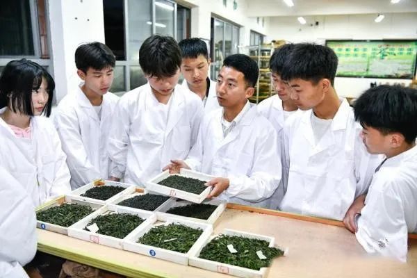 有关于“五四”青年节:青春执教 “茶”上闪光的新闻(1)
