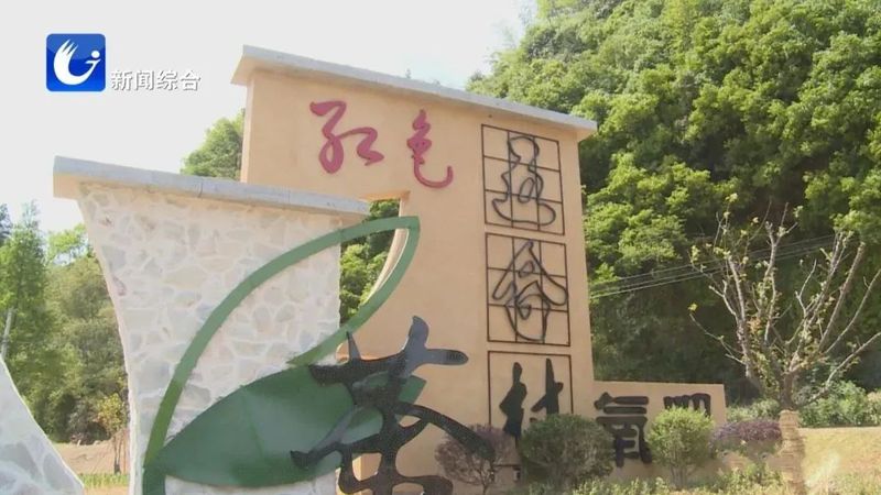 关于广德五合村:绘就茶旅融合新画卷的相关内容(6)