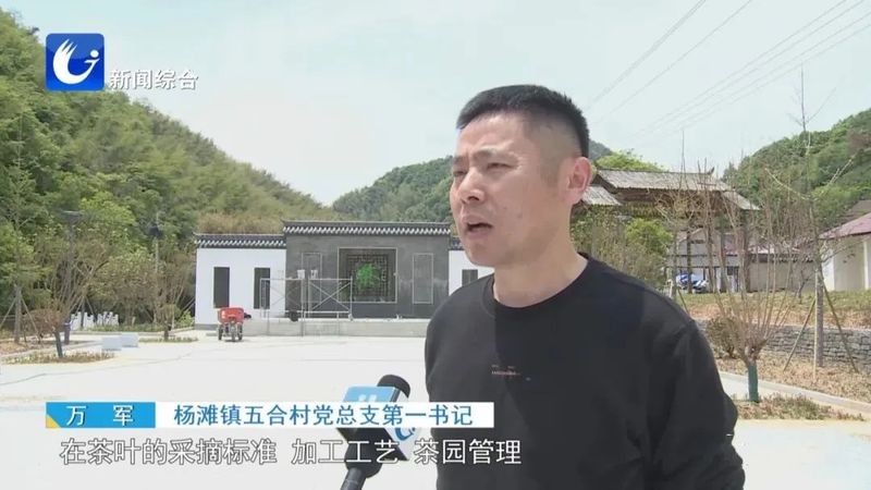 关于广德五合村:绘就茶旅融合新画卷的相关内容(3)