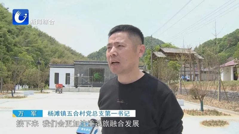 关于广德五合村:绘就茶旅融合新画卷的相关内容(7)