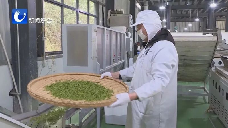 关于广德五合村:绘就茶旅融合新画卷的相关内容(4)