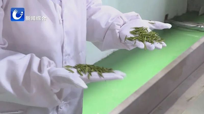 关于广德五合村:绘就茶旅融合新画卷的相关内容(2)