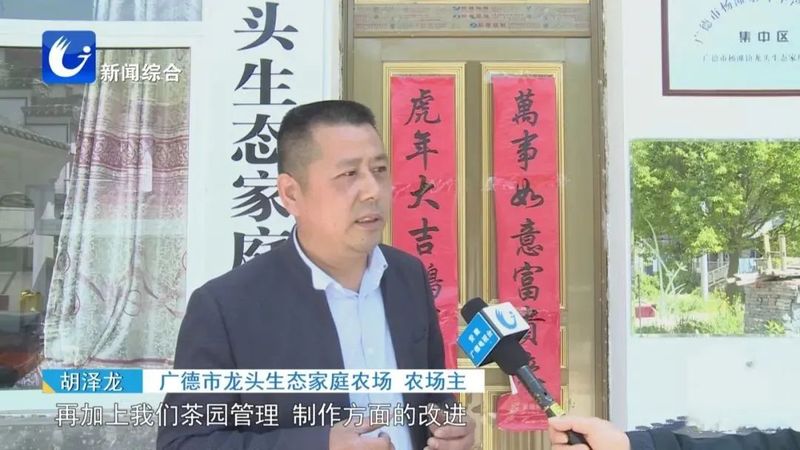 关于广德五合村:绘就茶旅融合新画卷的相关内容(1)
