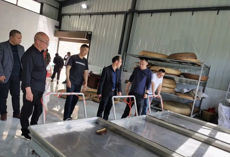 关于略阳县组织茶企赴镇巴交流学习茶产业的相关内容