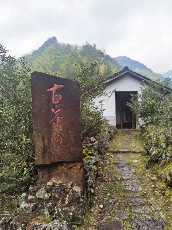 关于政和县检察院召开保护茶盐古道公益诉讼诉前圆桌会议的内容
