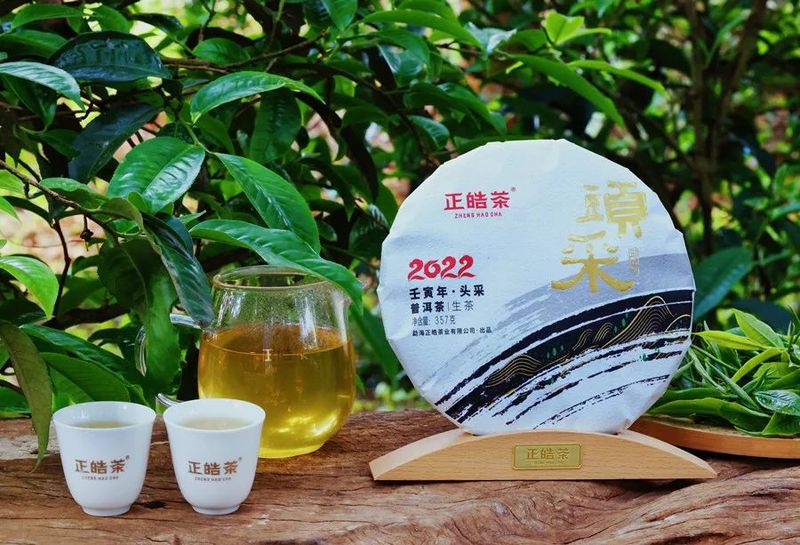 关于正皓的消息(15)