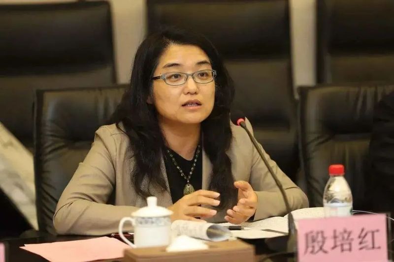 关于“生态茶+文旅康养” 实现“一叶”到“一业”——商南县打通生态产品价值实现路径的实践探索的资讯(12)