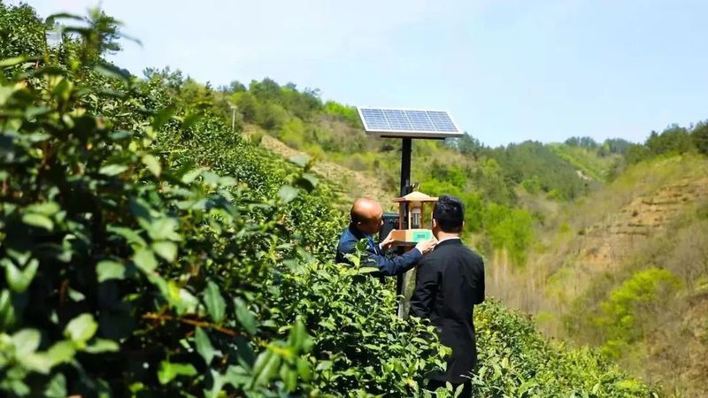 关于“生态茶+文旅康养” 实现“一叶”到“一业”——商南县打通生态产品价值实现路径的实践探索的资讯(5)