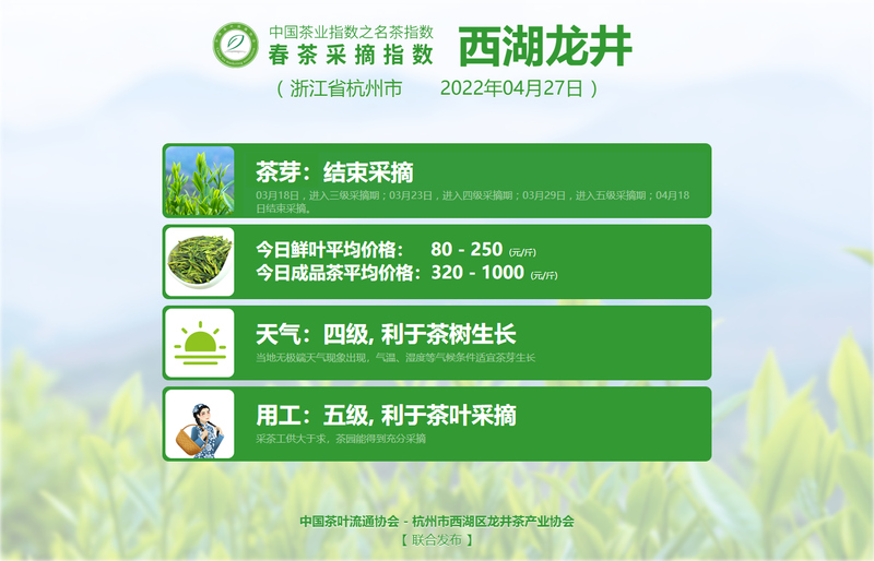 有关于春茶采摘指数:4月27日 武夷岩茶 水仙进入中开面的资讯(3)