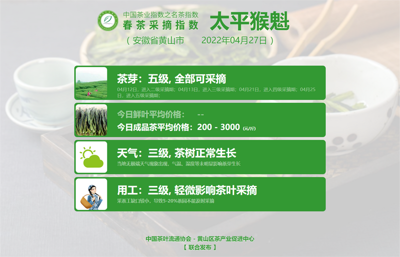 有关于春茶采摘指数:4月27日 武夷岩茶 水仙进入中开面的资讯(2)