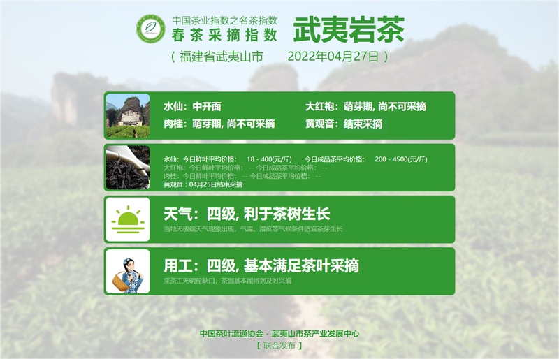 有关于春茶采摘指数:4月27日 武夷岩茶 水仙进入中开面的资讯(1)