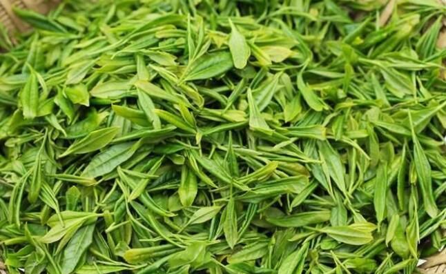 有关于爱茶人的春天，怎么能错过镇巴的相关内容(2)