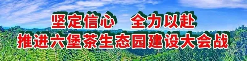 关于“小茶叶”助力“大增收”苍梧县抓实两新组织党建发展六堡茶产业的相关信息