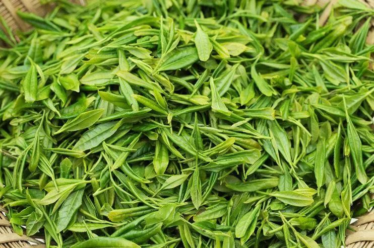 关于陕西镇巴：观云海 品香茗 遇见陕茶遇见你的信息(2)