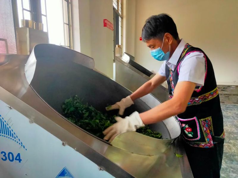 有关于茶人春采：执着与坚守，只为一杯好茶！的最新消息(7)