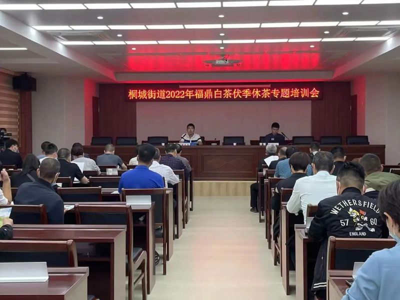 关于福鼎白茶：全市各乡镇大力推进伏季休茶的内容(3)
