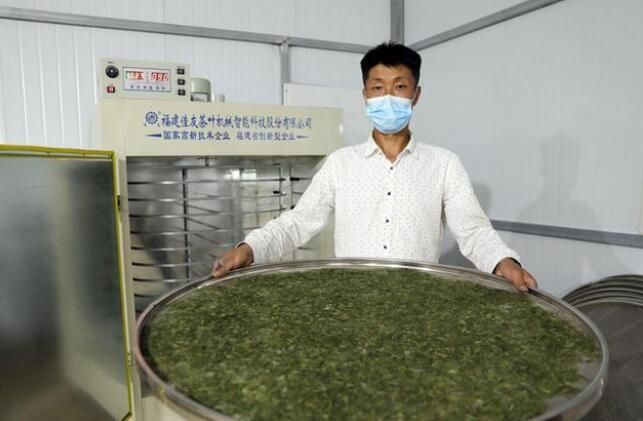 关于湖北宜城：春茶香采茶欢的信息(3)