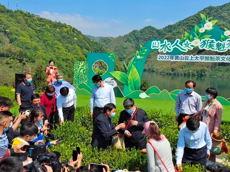 关于山水人文•猴魁茶香——2022年黄山云上太平猴魁茶文化旅游节盛大开幕的相关内容(3)
