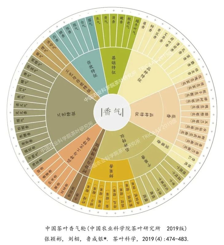 有关于有了风味轮，茶叶喝个明白！(上)的相关内容(4)