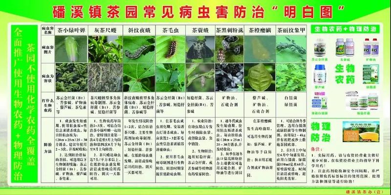 有关于磻溪镇召开茶园绿色防控示范片建设工作会议的信息(4)