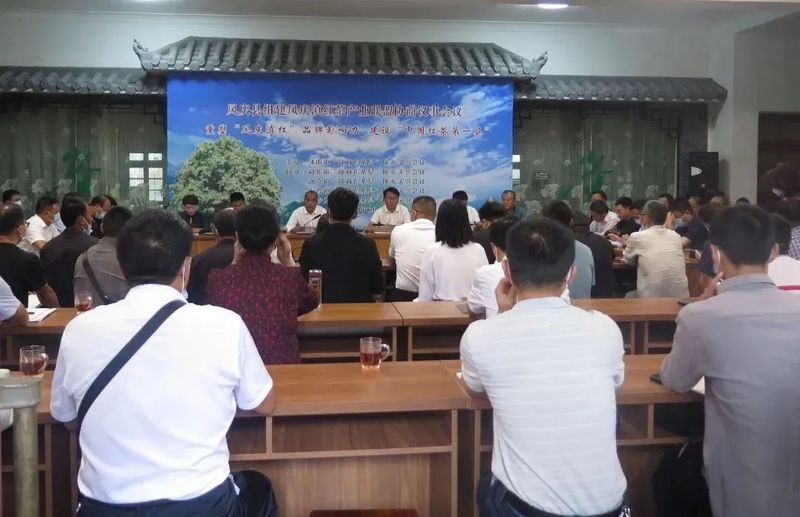 关于凤庆滇红茶产业联盟推动凤庆茶产业高质量发展的新闻(2)