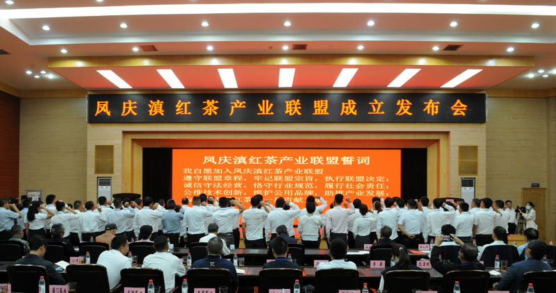 关于凤庆滇红茶产业联盟推动凤庆茶产业高质量发展的新闻(3)