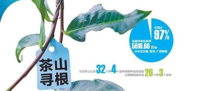 有关于一周速读:茶叶企业品牌价值、“一片叶”进军百亿茶产业、茶产业环境保护法庭的相关内容(2)
