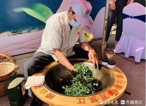 关于沙子口街道茶产业联盟成立,千亩茶园茶叶生产全程可见可管可追溯的内容(1)