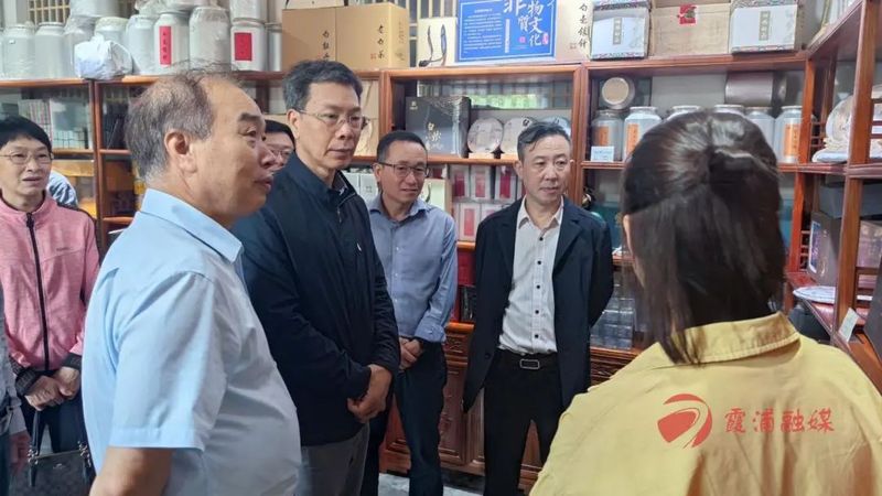 关于市领导到霞浦调研茶文化茶产业茶科技统筹发展的相关信息