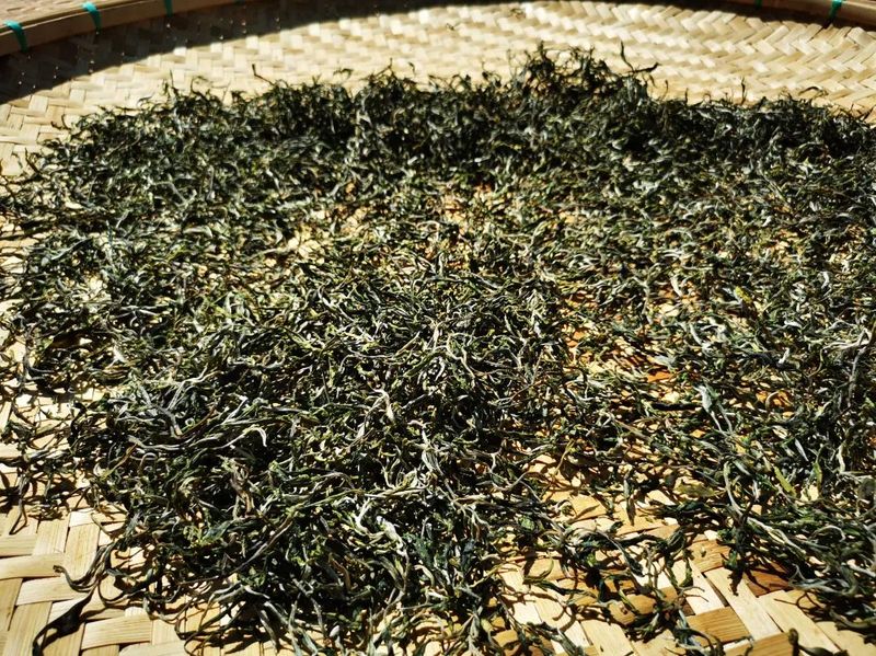 有关于西双版纳州：构建品牌优质有机高端的普洱茶产业新格局的信息(2)