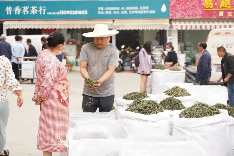 关于“数”与“价”，普洱市春茶产量产值双增长！的相关内容(3)