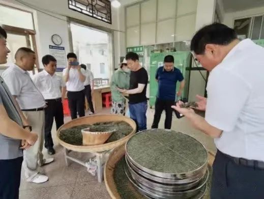 有关于浉河区政协“加快茶产业融合发展,助推乡村振兴扛旗”考察组到商城考察调研的相关内容(1)