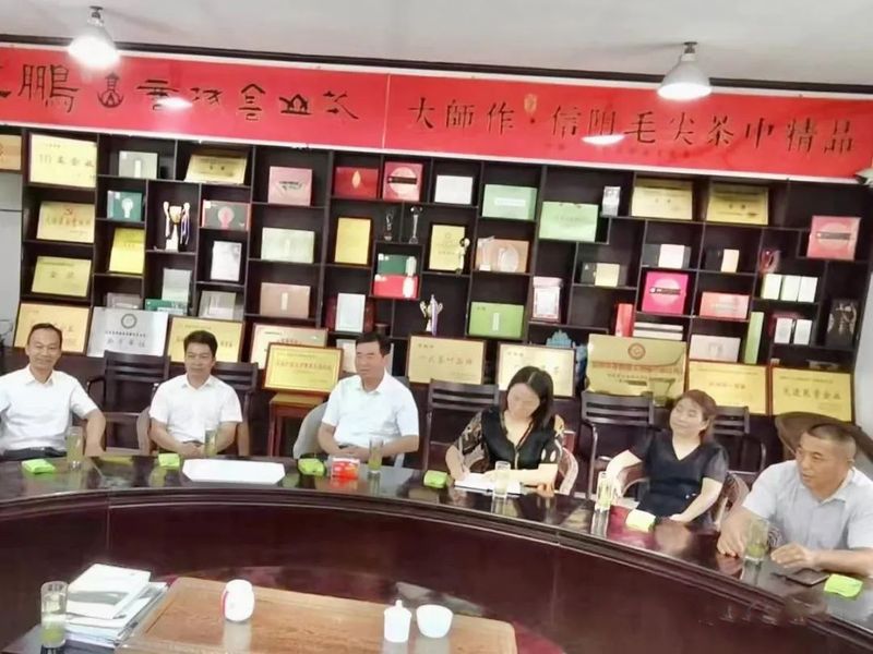 有关于浉河区政协“加快茶产业融合发展,助推乡村振兴扛旗”考察组到商城考察调研的相关内容(2)