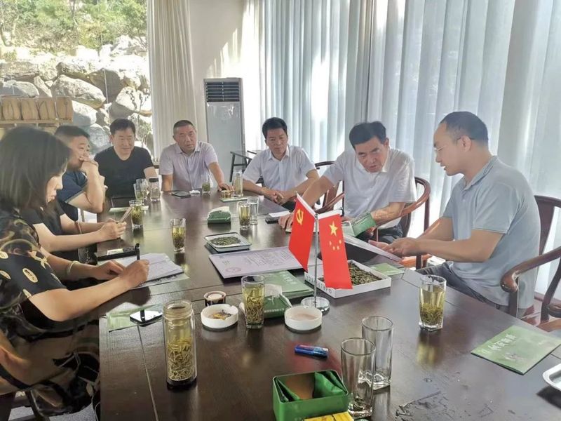 有关于浉河区政协“加快茶产业融合发展,助推乡村振兴扛旗”考察组到商城考察调研的相关内容