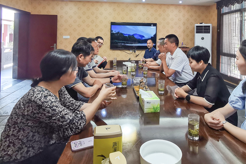 有关于市政协党组成员郑泽金赴远安调研茶产业的相关内容(1)