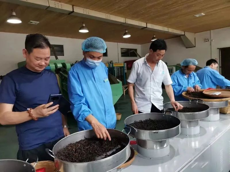 有关于学习先进技术 助推汉茶发展——汉中市组团赴福建参加花果香型红茶研习班的相关信息(2)