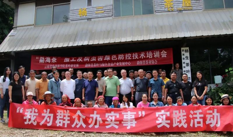 有关于“勐海茶”加工及病虫害绿色防控技术培训会在帕真村举行的消息(12)