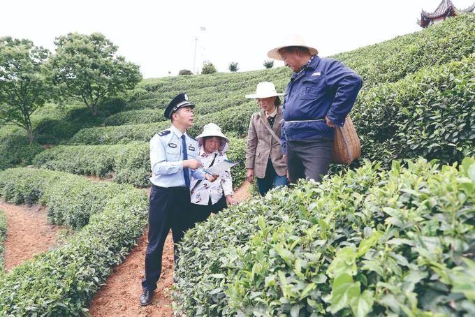 关于商城县:护航大别山茶旅融合发展的内容