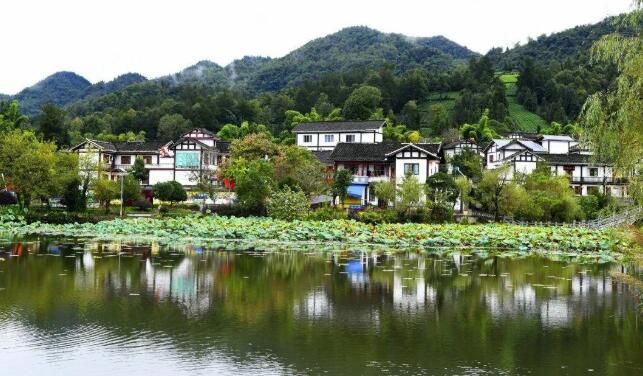 关于从第十四届贵州茶产业博览会看贵州茶产业如何跨越的消息(2)