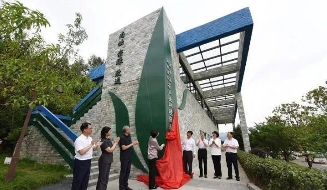 关于从第十四届贵州茶产业博览会看贵州茶产业如何跨越的消息