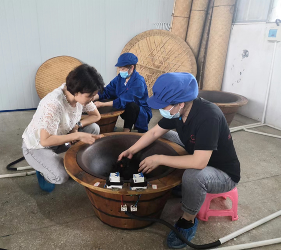 有关于“科技创新助力乡村振兴”邵阳市科协第二季度科技工作者沙龙聚焦茶产业发展的相关内容(3)