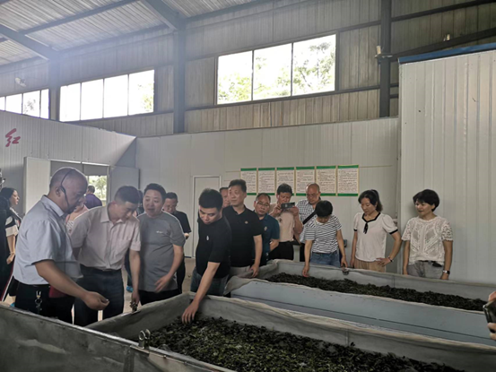 有关于“科技创新助力乡村振兴”邵阳市科协第二季度科技工作者沙龙聚焦茶产业发展的相关内容(2)