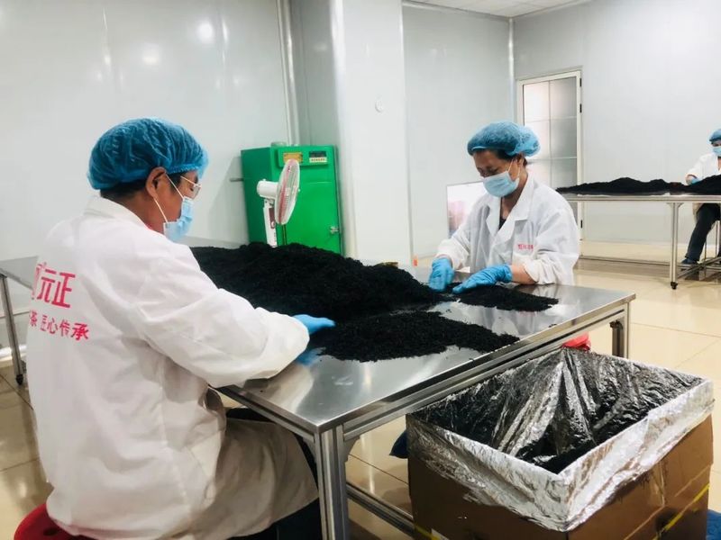 有关于弘扬中国传统茶文化 开启生物科技红茶新时代的最新消息(1)