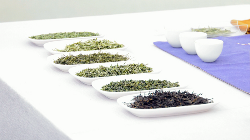 有关于张正伟作客茶博会直播间 推介凤冈锌硒茶的资讯(2)