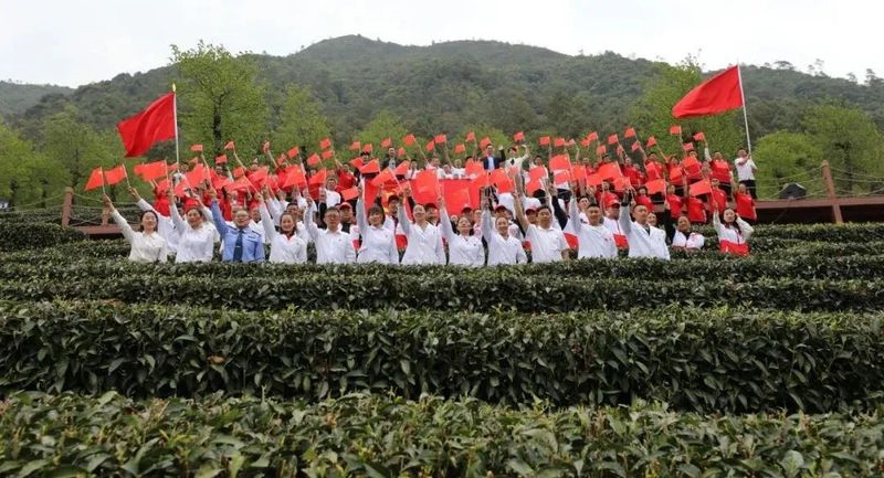 有关于永平县龙门乡:探索“一核三益”模式提升为民服务质效促茶产业发展的新闻