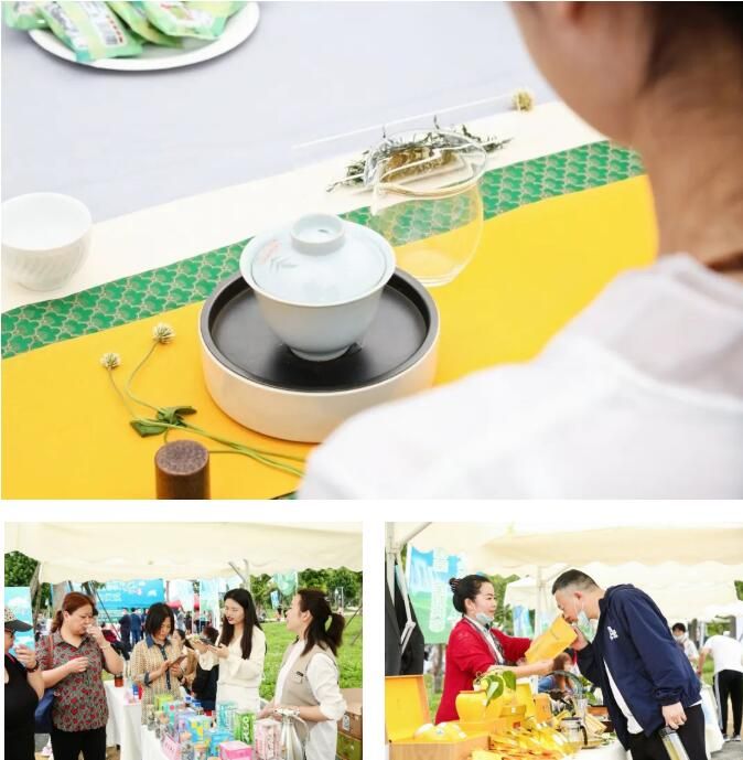 有关于安顺茶业之路如何前进?6月15日这场盛宴为您解答的最新消息(2)